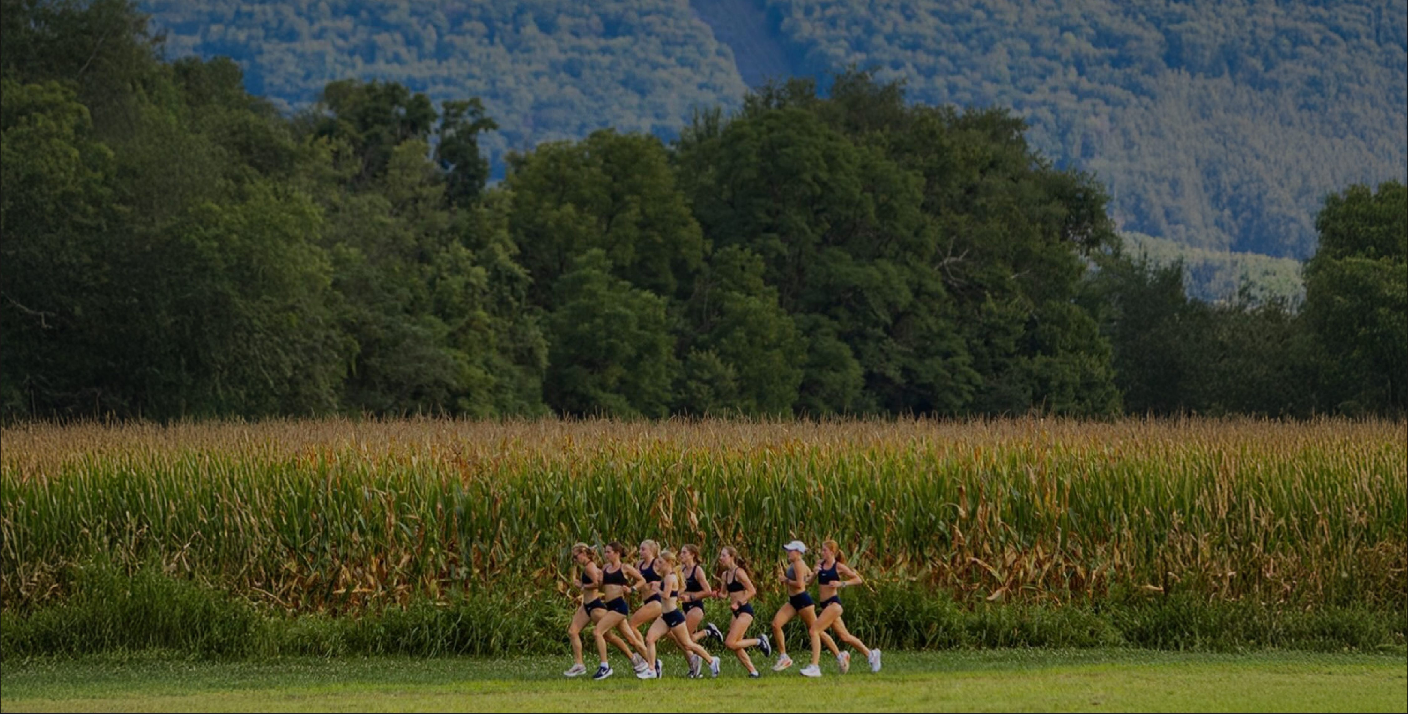Trevi electrolyte drink mix package surrounded by lemons against a blue sky.