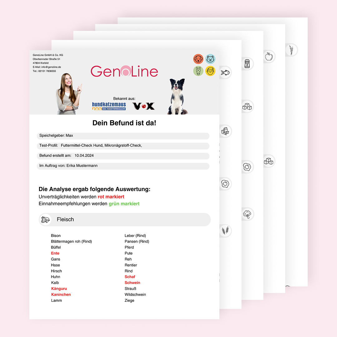 A stack of papers showing the results of a GenoLine pet food analysis report.