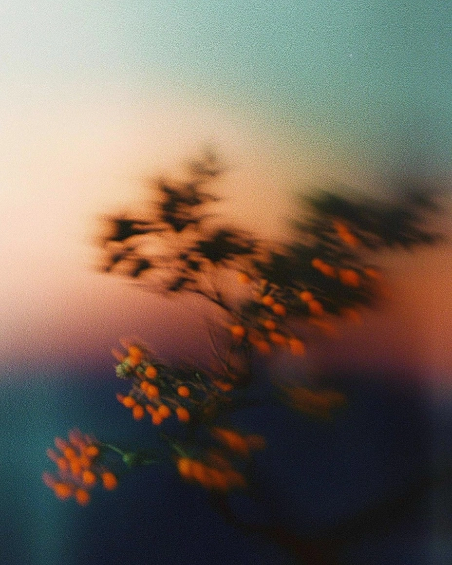 A blurry, abstract photo of a plant with orange berries against a colorful, grainy gradient background.