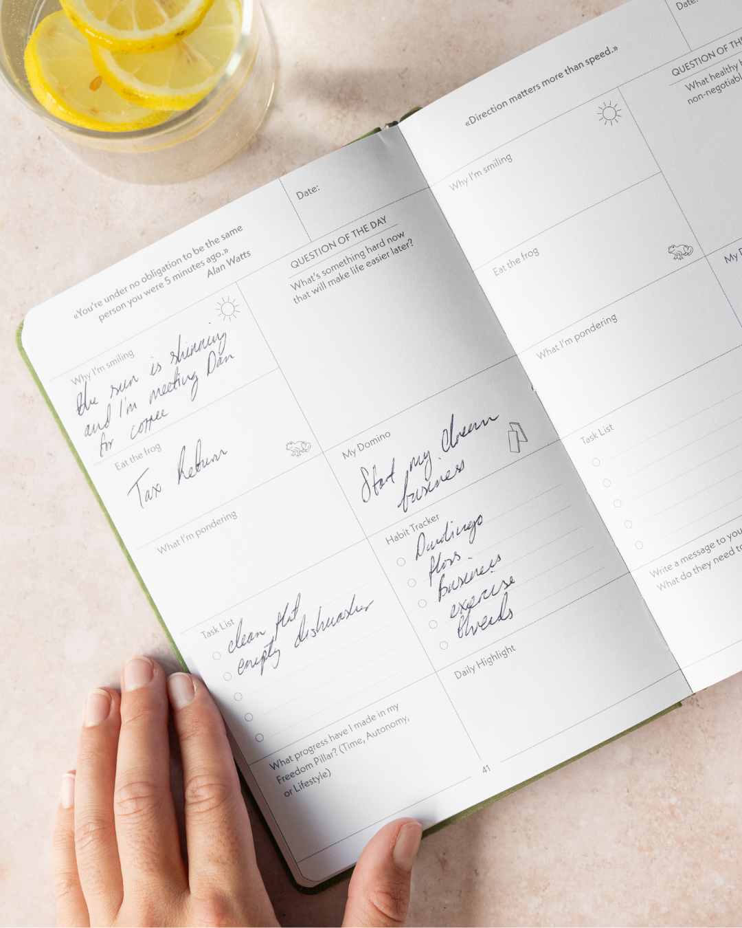 A single monstera leaf in a clear glass vase against a white background.