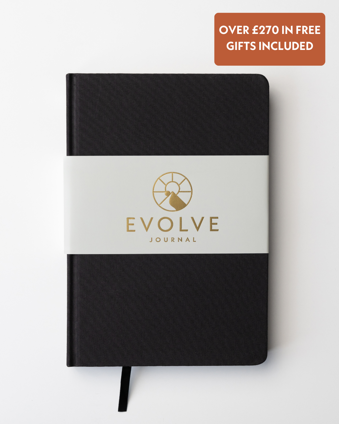 A single green leaf against a white background.