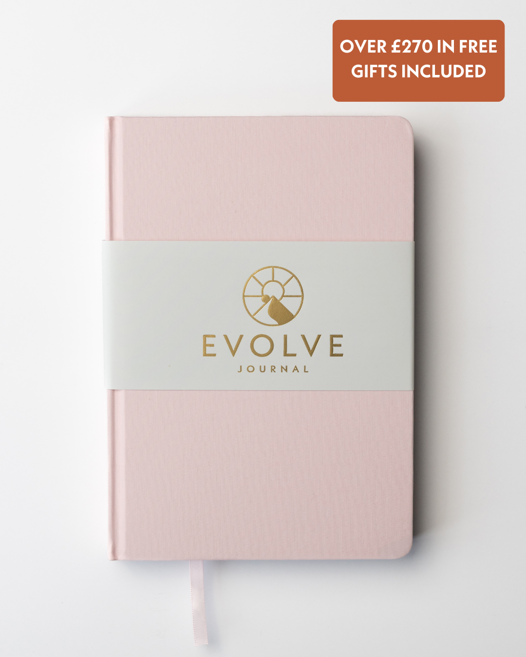 A single green leaf against a white background.