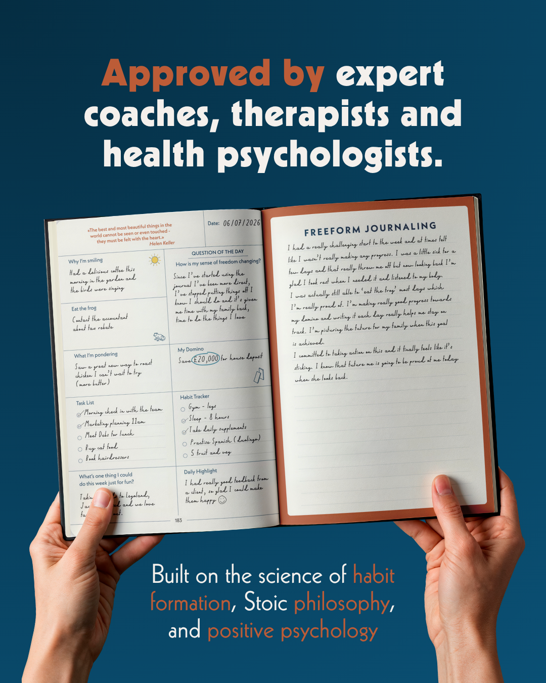 A single palm leaf in a clear glass of water on a white background.