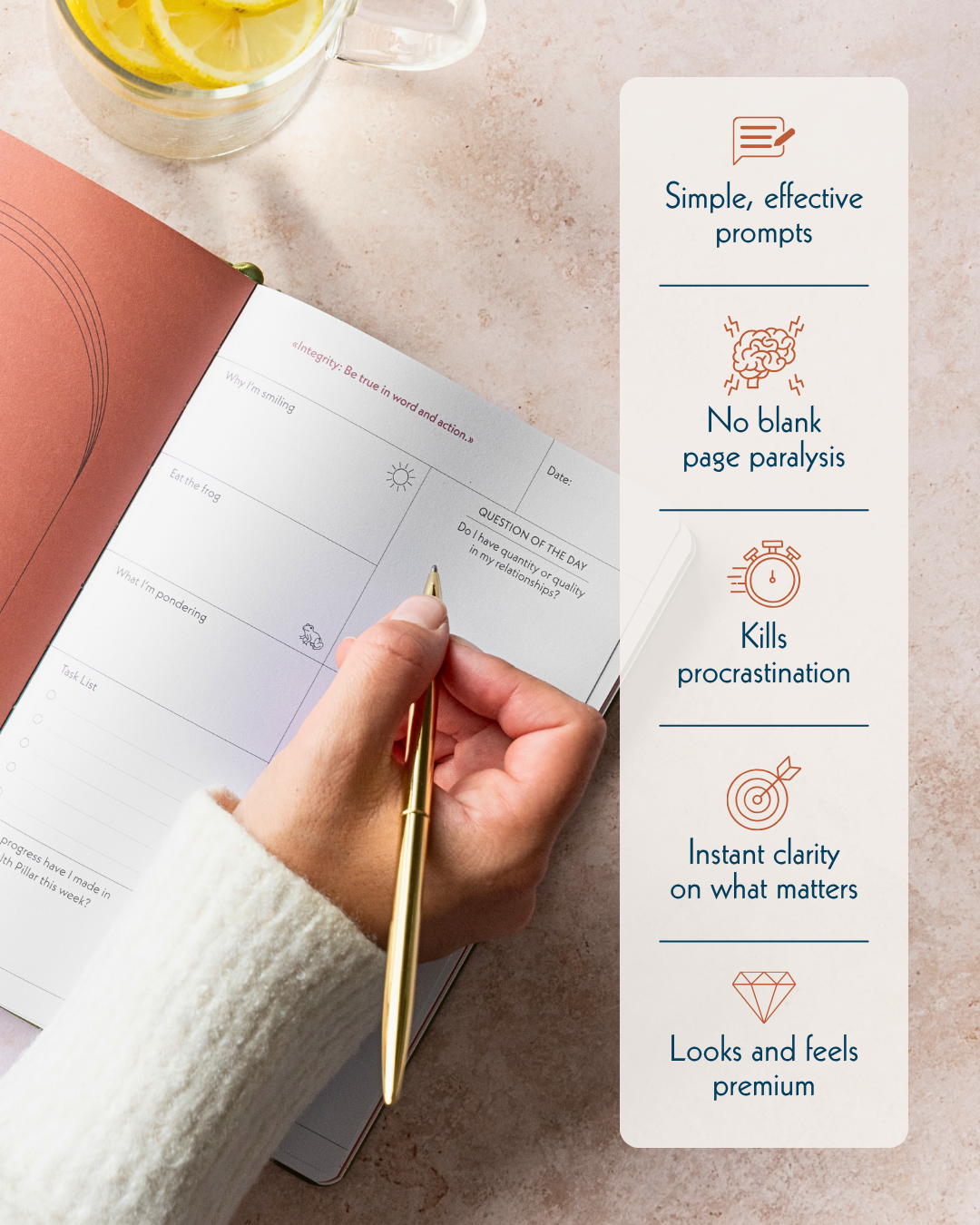 Green palm leaf beside blank white cards on a plain background.