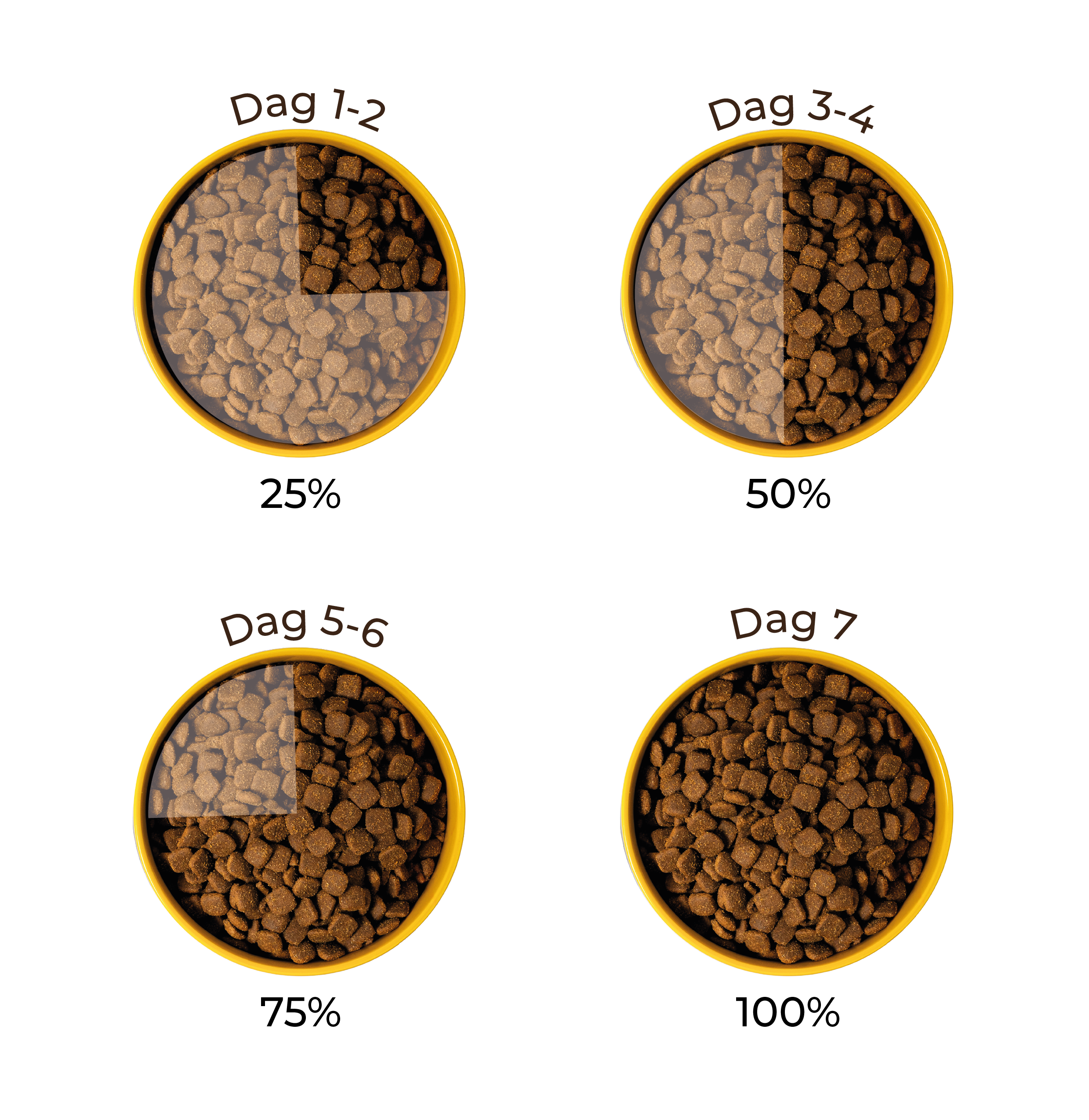 Four bowls of pet food labeled with different days.