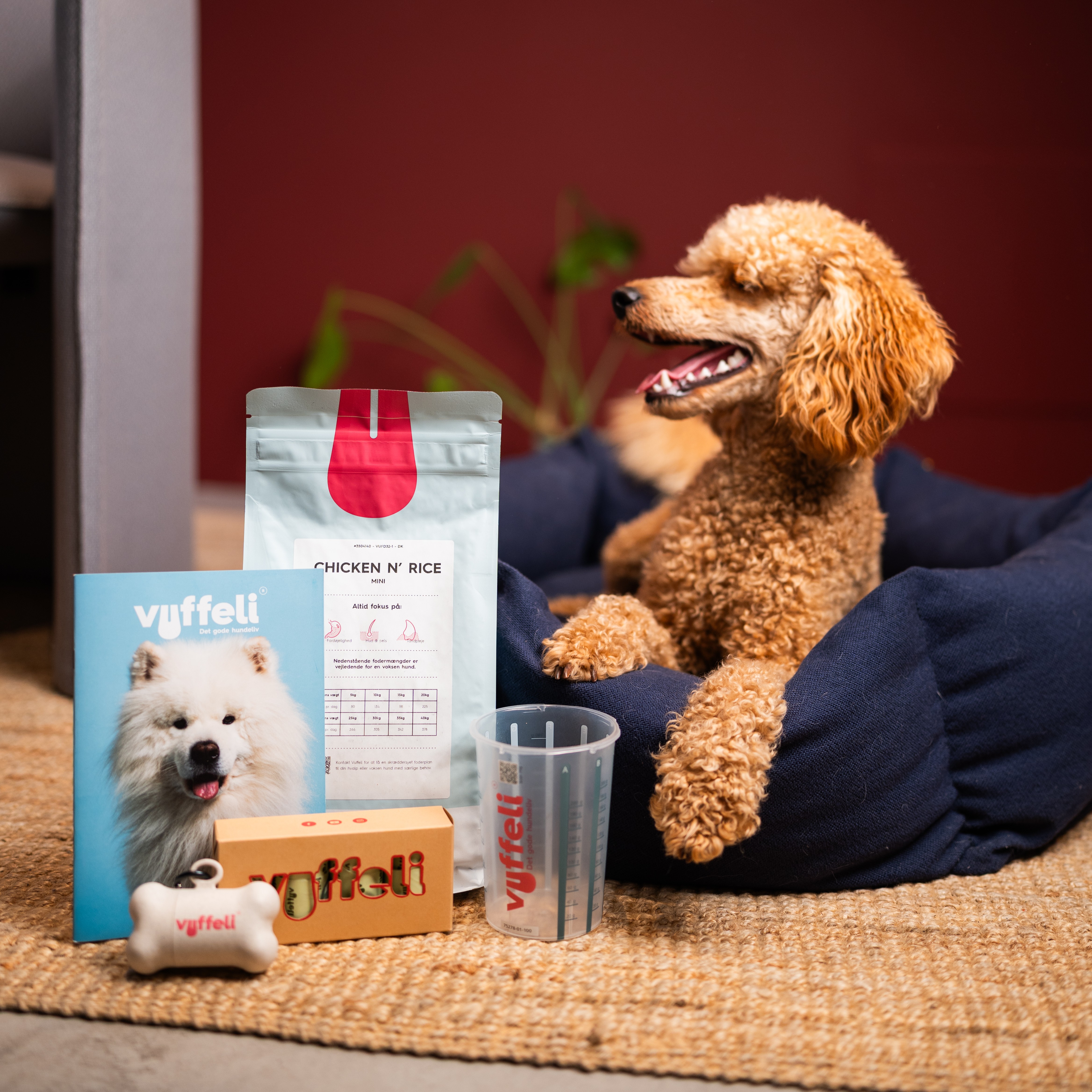 A happy dog in a bed with pet food and accessories nearby.