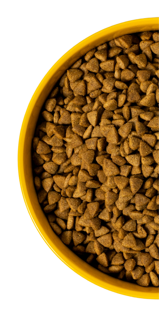 Yellow bowl filled with brown pet kibble.