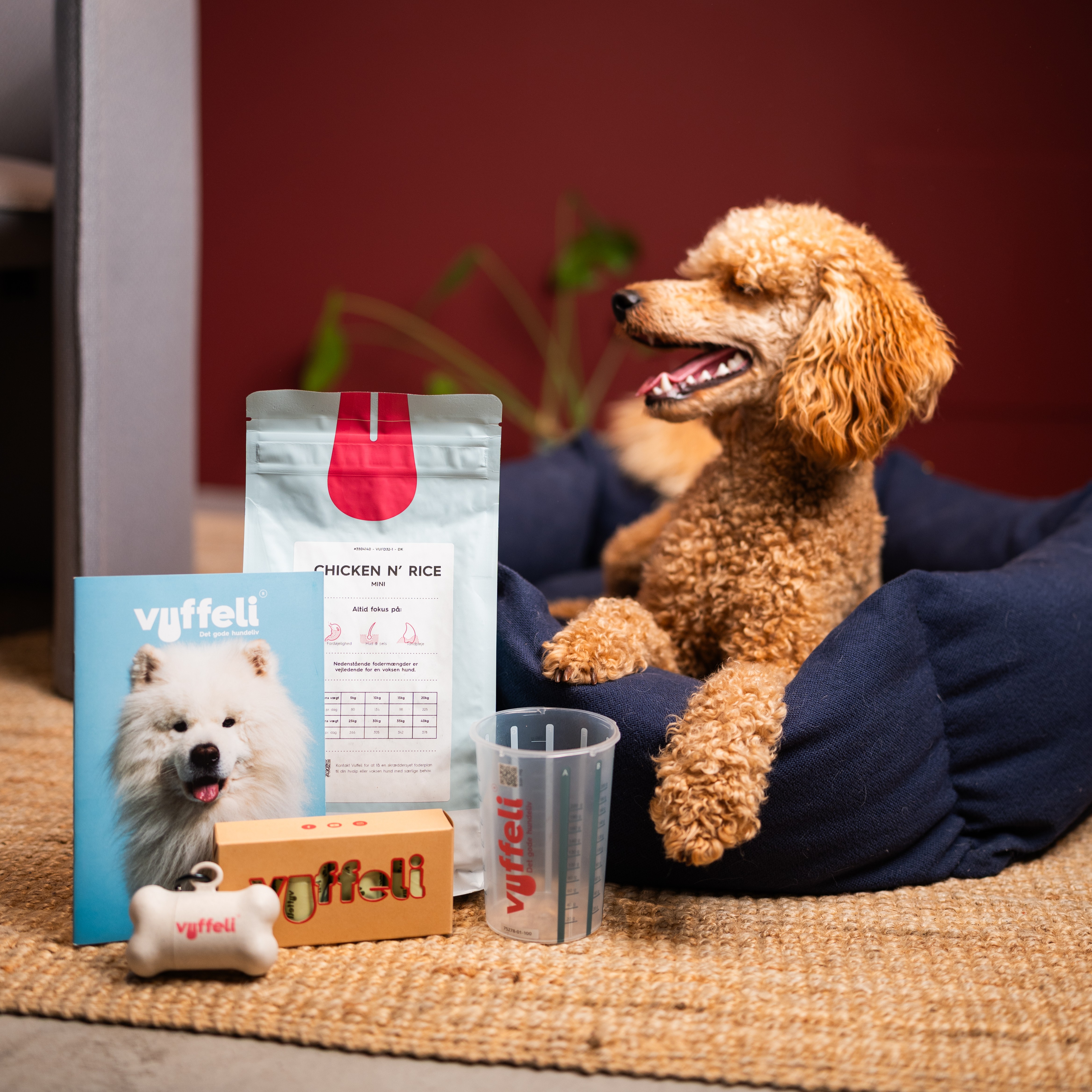 Curly-haired dog in bed with pet food and accessories nearby.