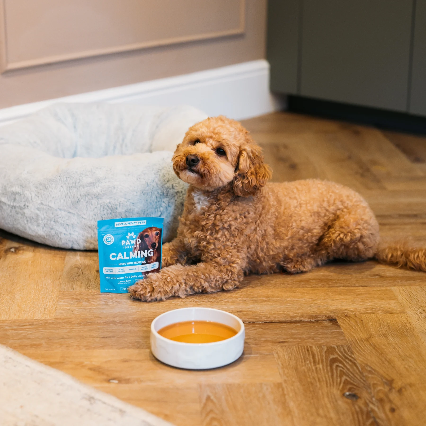 A curly-haired dog lies on a wood floor next to a bowl and a pouch of dog treats.