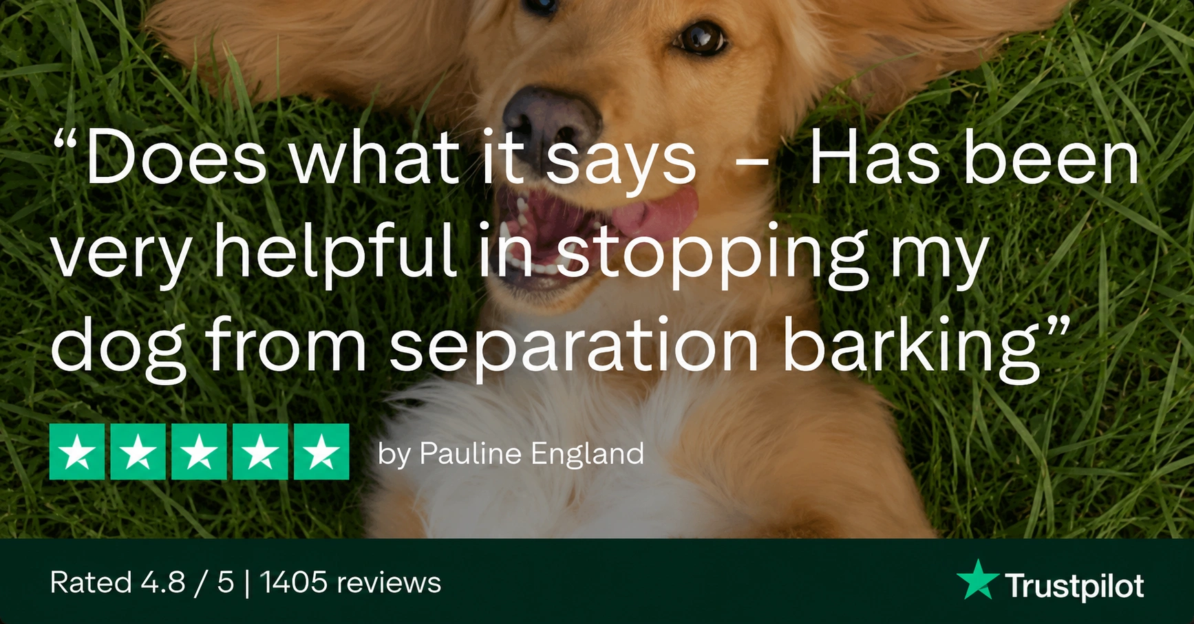 A dog lying on its back in the grass with a five-star Trustpilot review from Pauline England.