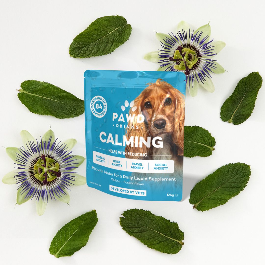 Dog calming supplement package with leaves and passionflower on white background.