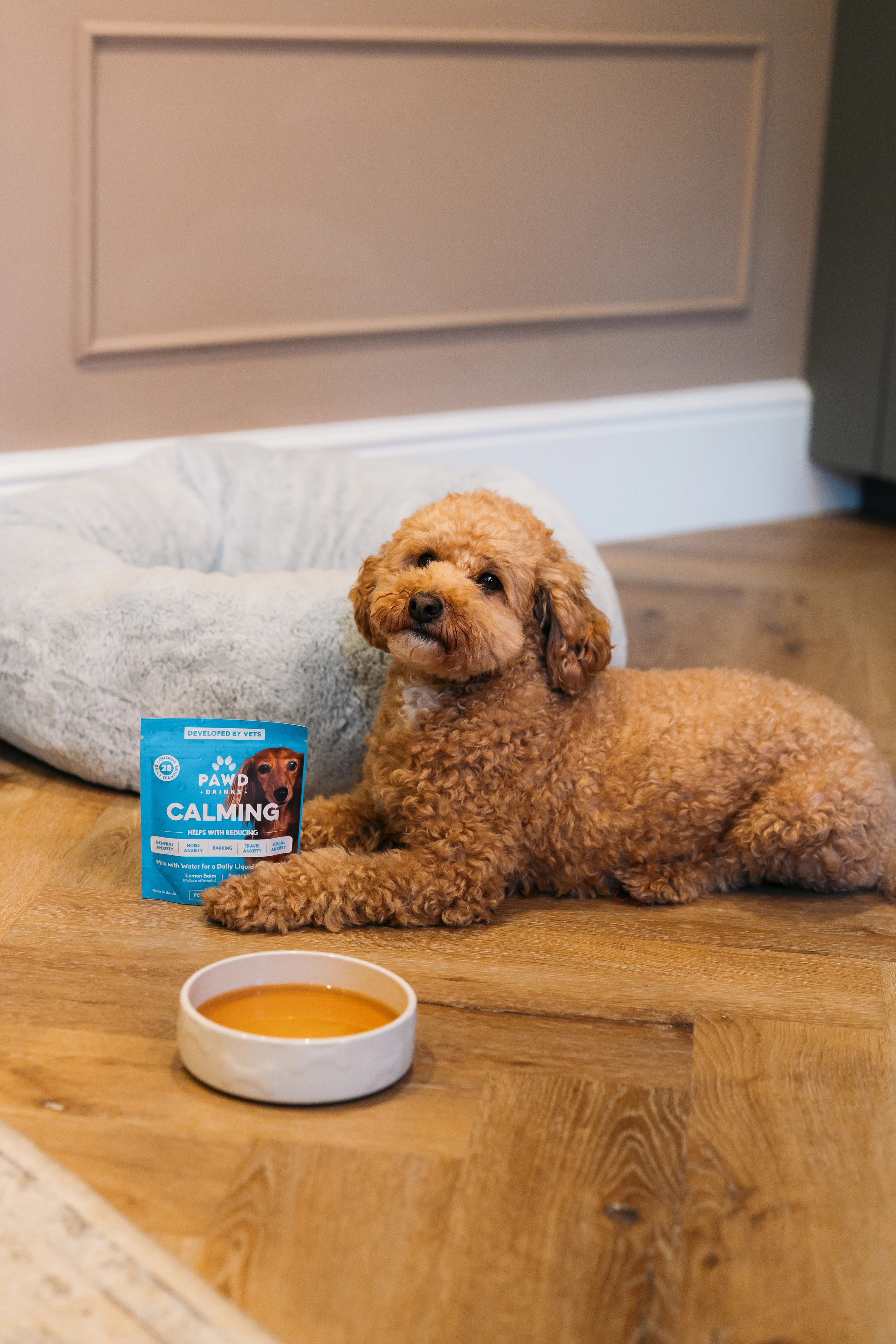 A fluffy brown dog lies on a wooden floor next to a bowl and a pouch of dog treats.