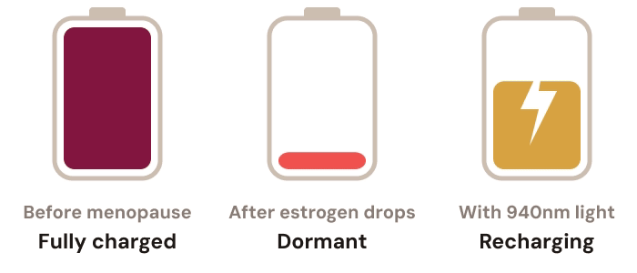 Battery graphic: fully charged, dormant, recharging with 940nm light