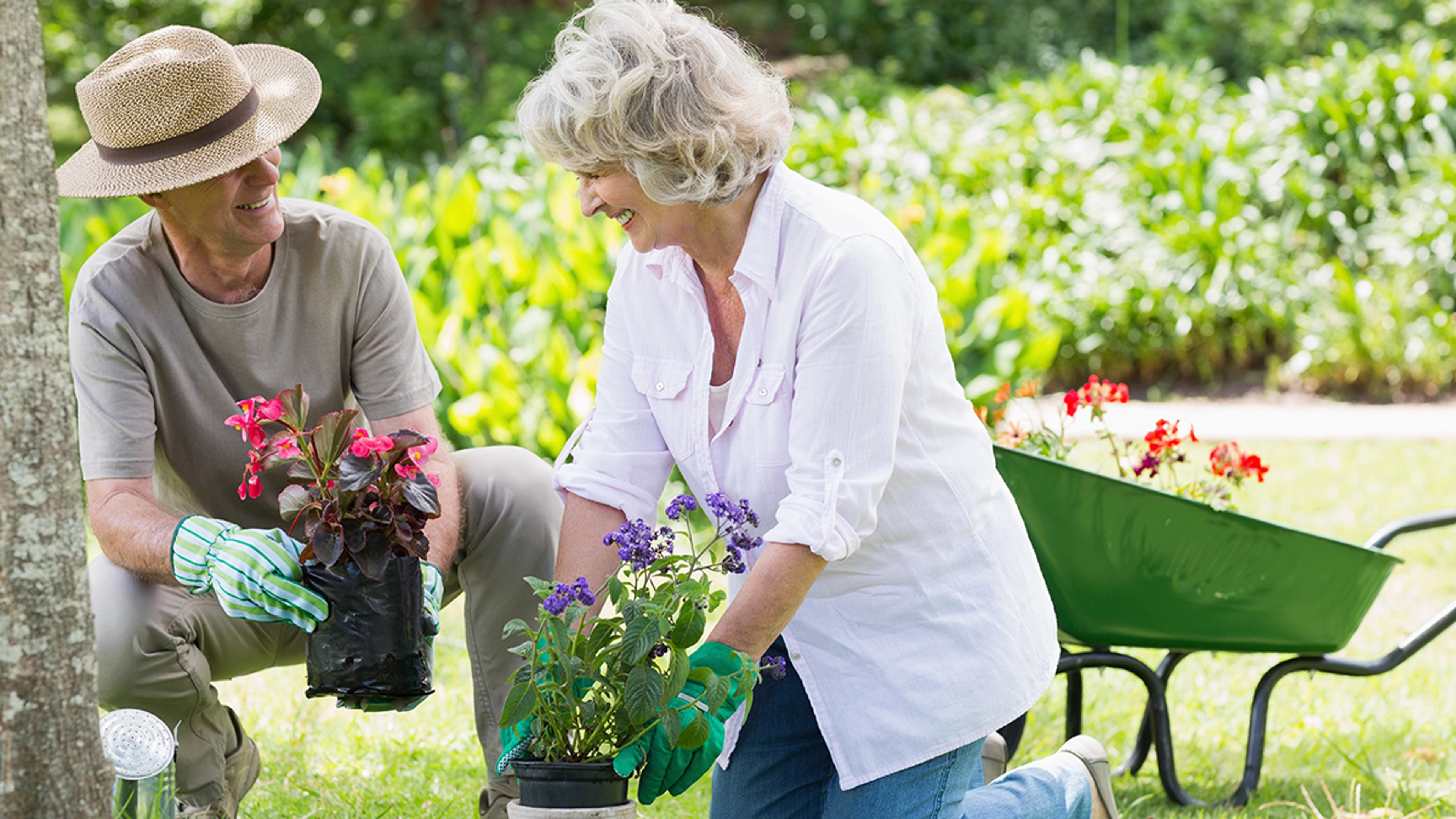Two people gardening with flowers and a wheelbarrow in a sunny garden.