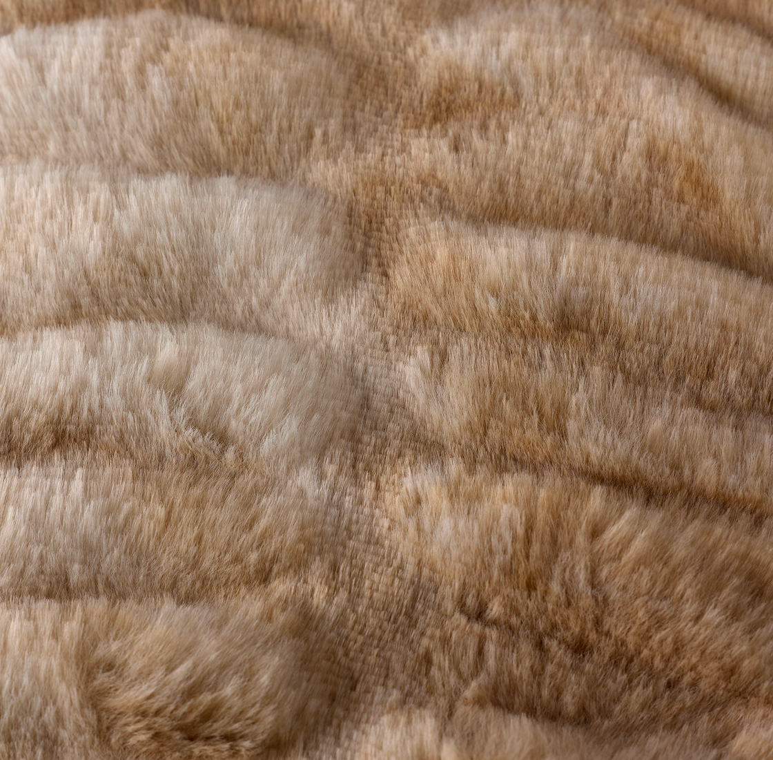Close-up of light brown fur with subtle stripes.