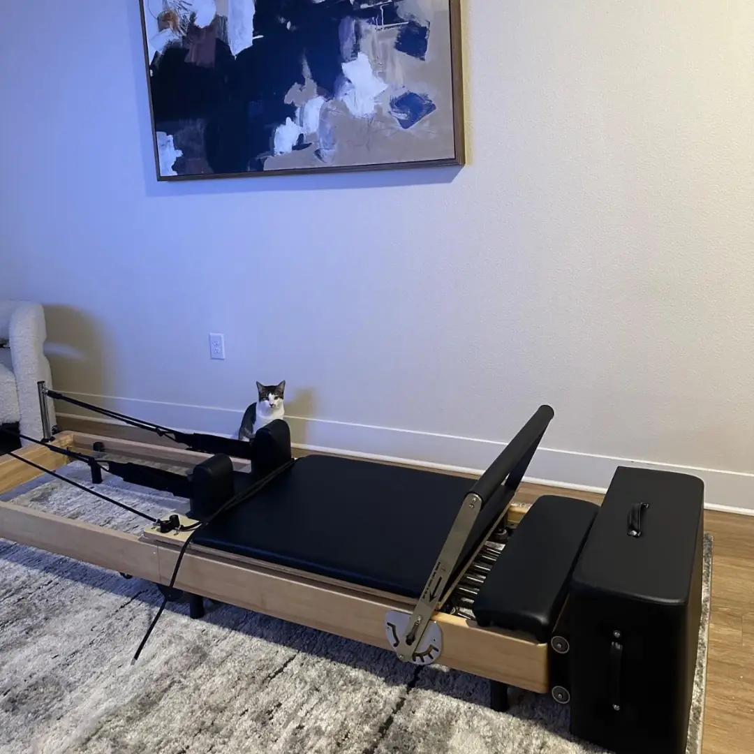 A cat sitting next to a Pilates reformer in a room with abstract wall art.