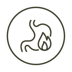 Icon of a flame with wavy lines inside a circle.