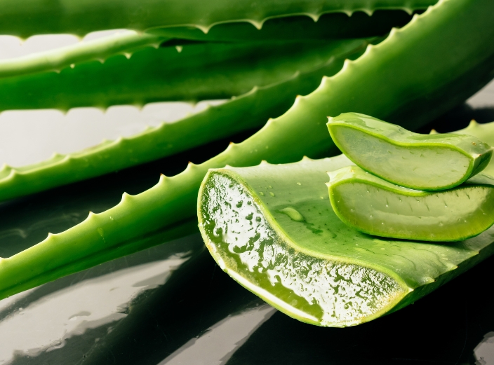 Close-up of sliced aloe vera leaves with gel visible.