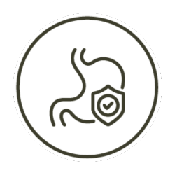 Outline of a stomach with a shield and checkmark inside a circle.