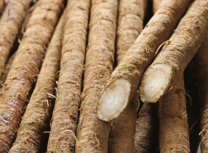 Close-up of several burdock roots, one cut to show the interior.