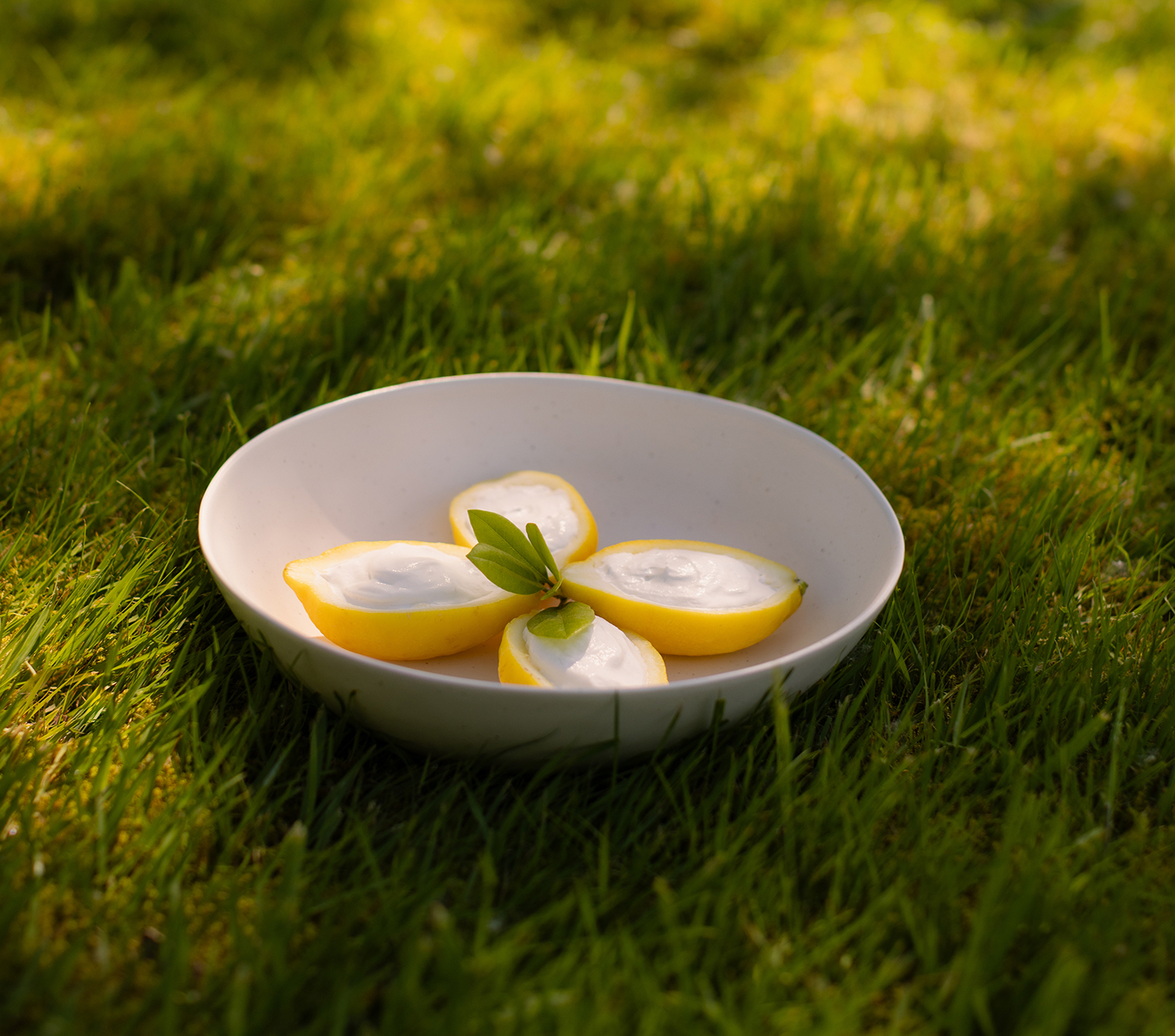 A bowl of food stands on the grass