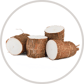 Glucosamine HCl
