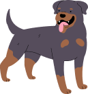A cartoon Rottweiler standing with its tongue out.