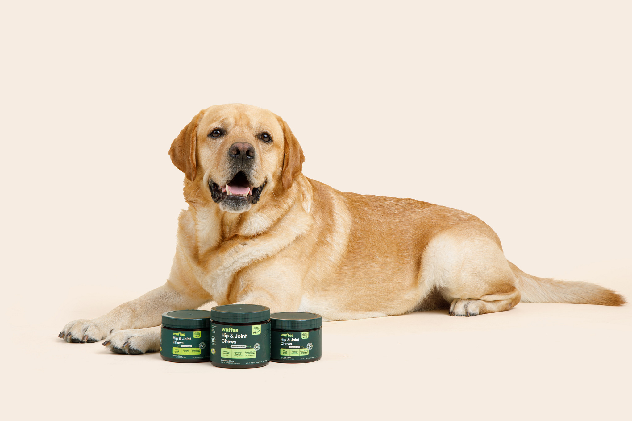 A yellow Labrador retriever lies on a plain background behind three green jars of Wuffes hip and joint chews.