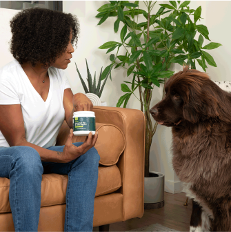 Woman holding a container talking to a large brown dog in a cozy room.