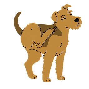 An illustration of a brown dog standing and scratching its neck with its hind leg.
