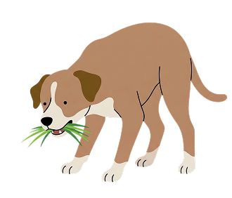 A cartoon illustration of a light brown and white dog eating a mouthful of green grass.