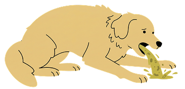 An illustration of a yellow dog with a sad expression vomiting.