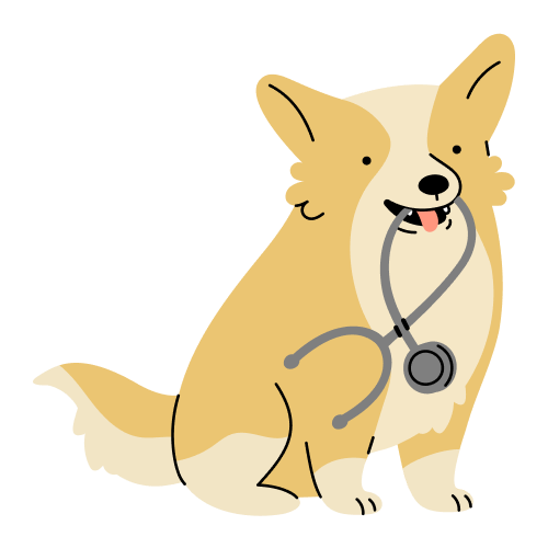 Cartoon corgi holding a stethoscope in its mouth.