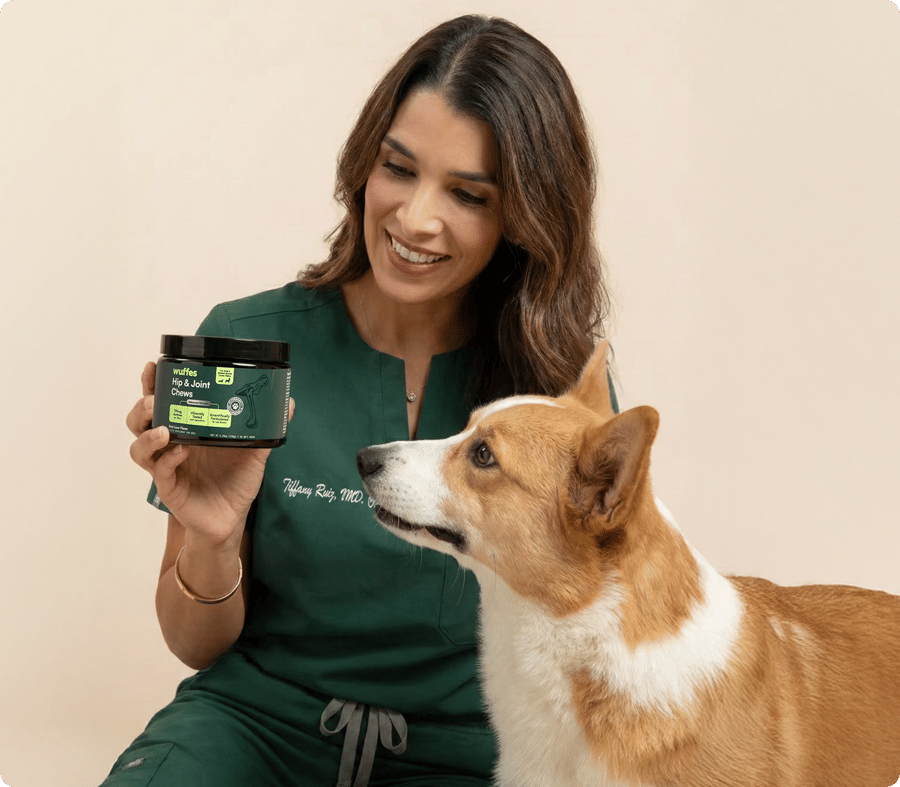 Tierärztin mit Corgi neben Knuffel-Dosen