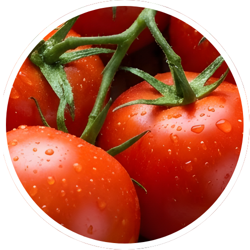 Lycopene