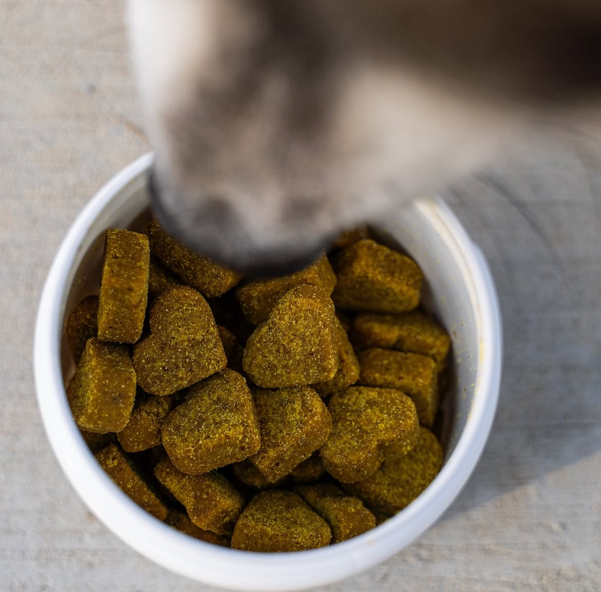 A close-up, overhead view of a dog's nose over a white bowl of heart-shaped supplements.