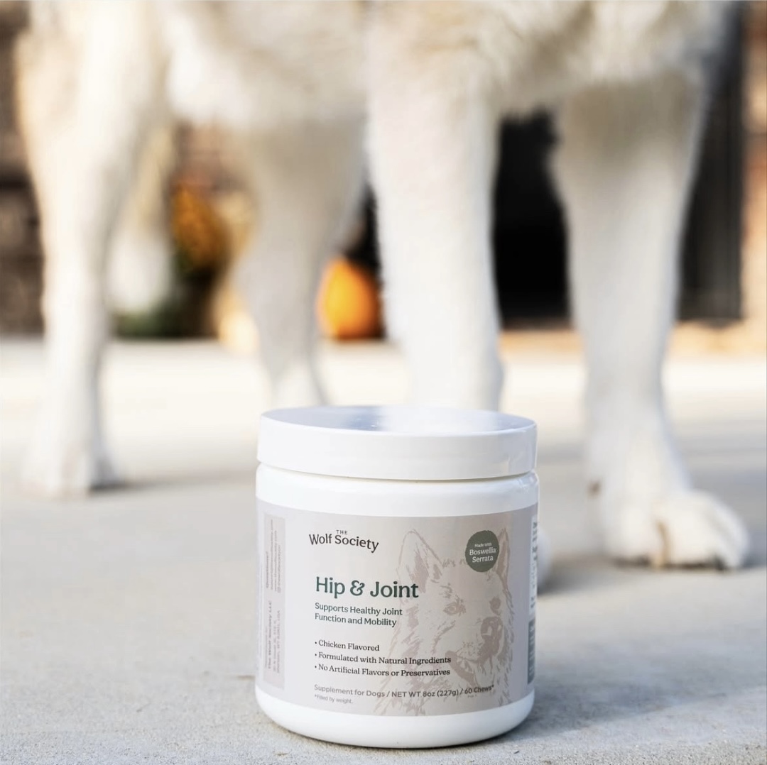 A white jar of Hip & Joint dog supplements sits in front of the out-of-focus legs of a dog.