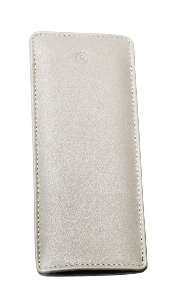 Gray leather case with stitching and a button closure.