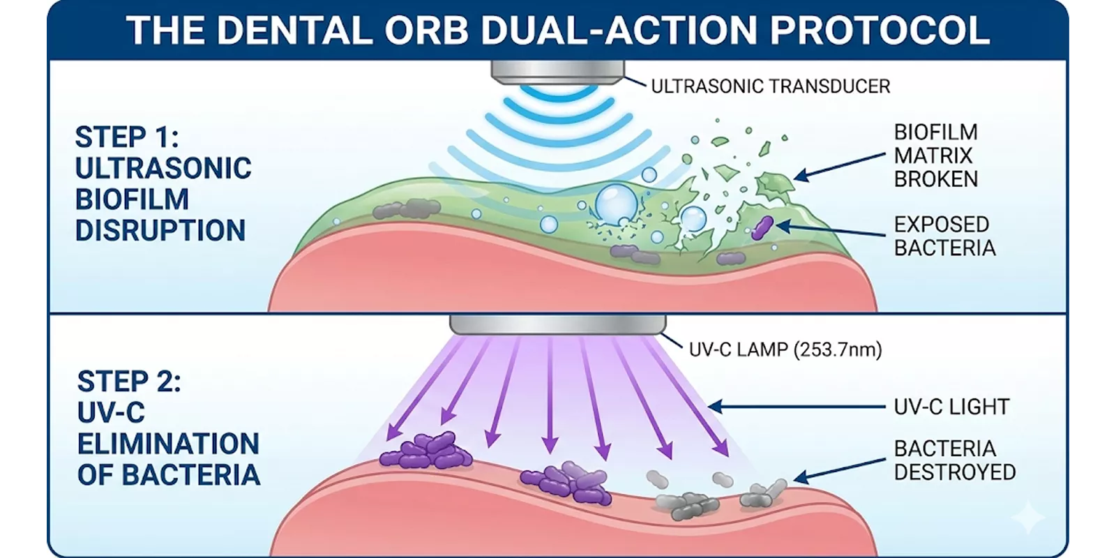 An infographic illustrating a two-step process using ultrasonic waves and UV-C light to eliminate bacteria and biofilm.