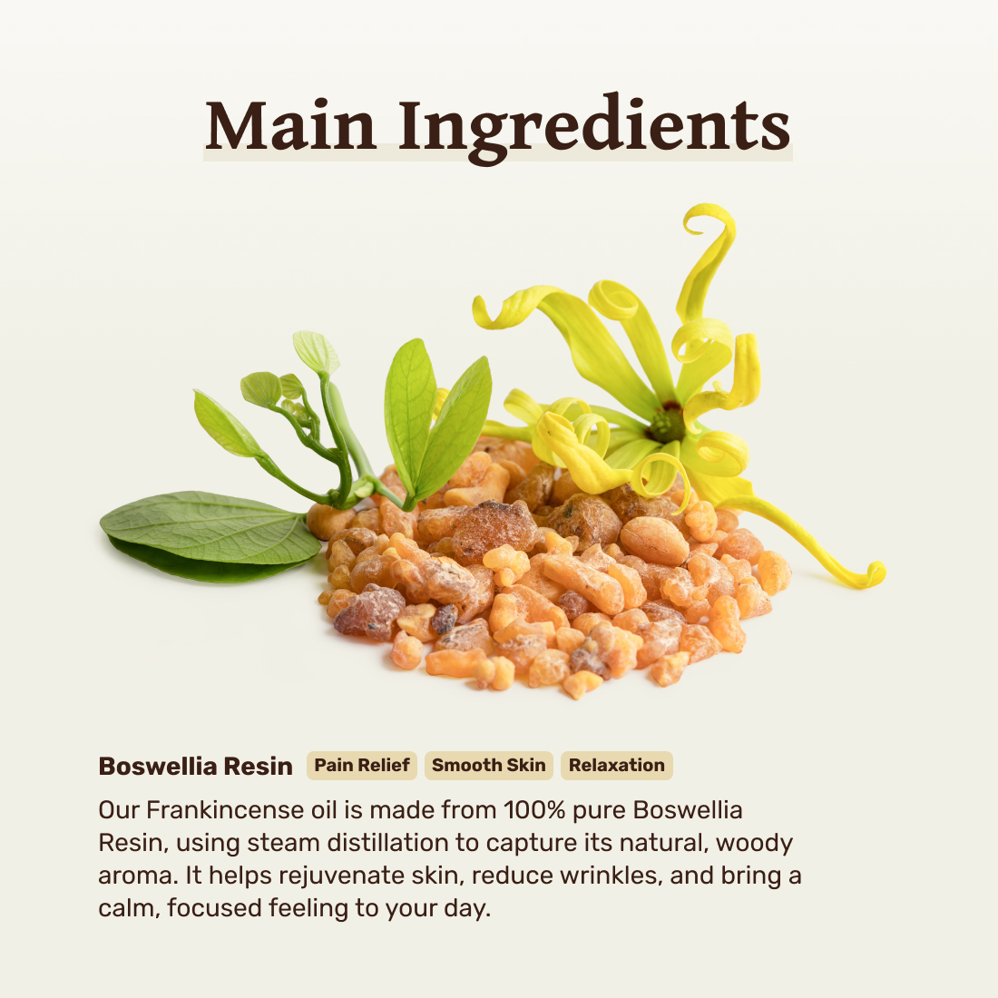 Boswellia resin with green leaves and yellow flower, labeled as main ingredients.