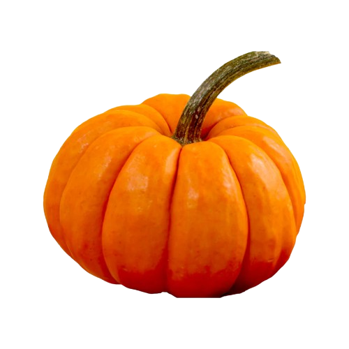 A small, bright orange pumpkin with a curved green stem, isolated on a black background.