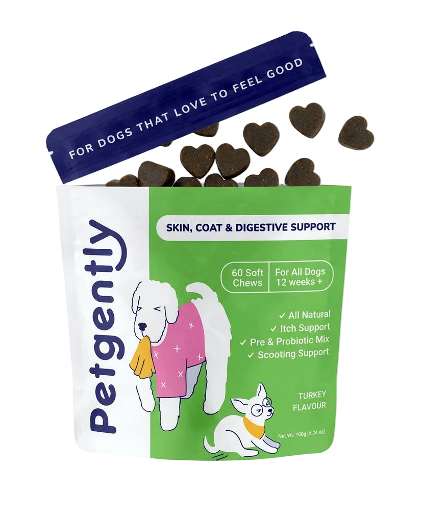 An open bag of Petgently dog chews for skin, coat, and digestive support, with heart-shaped treats spilling out.
