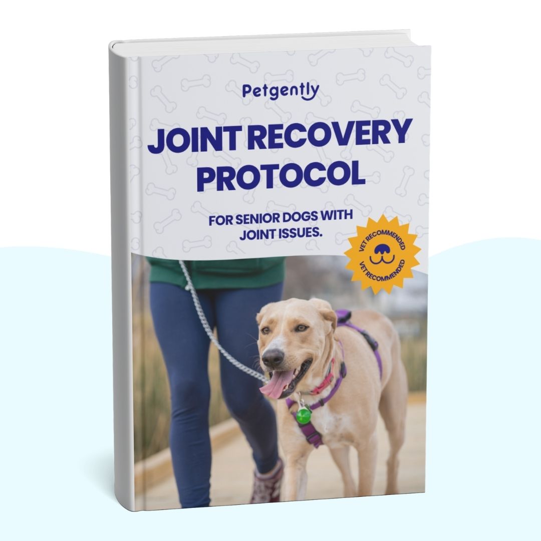 Book cover titled 'Joint Recovery Protocol' with a dog on a leash.