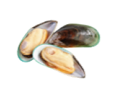 Three open mussels with visible orange flesh.