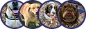 A row of four circular photos, each featuring a different dog.