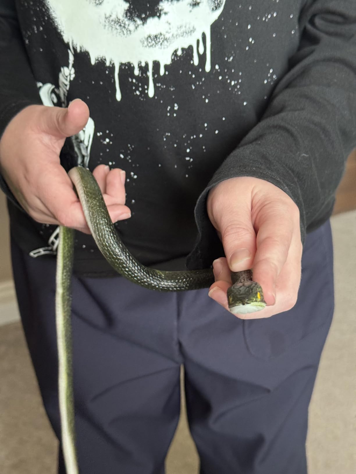 A person wearing a black shirt holds a small, slender, dark green snake in their hands.