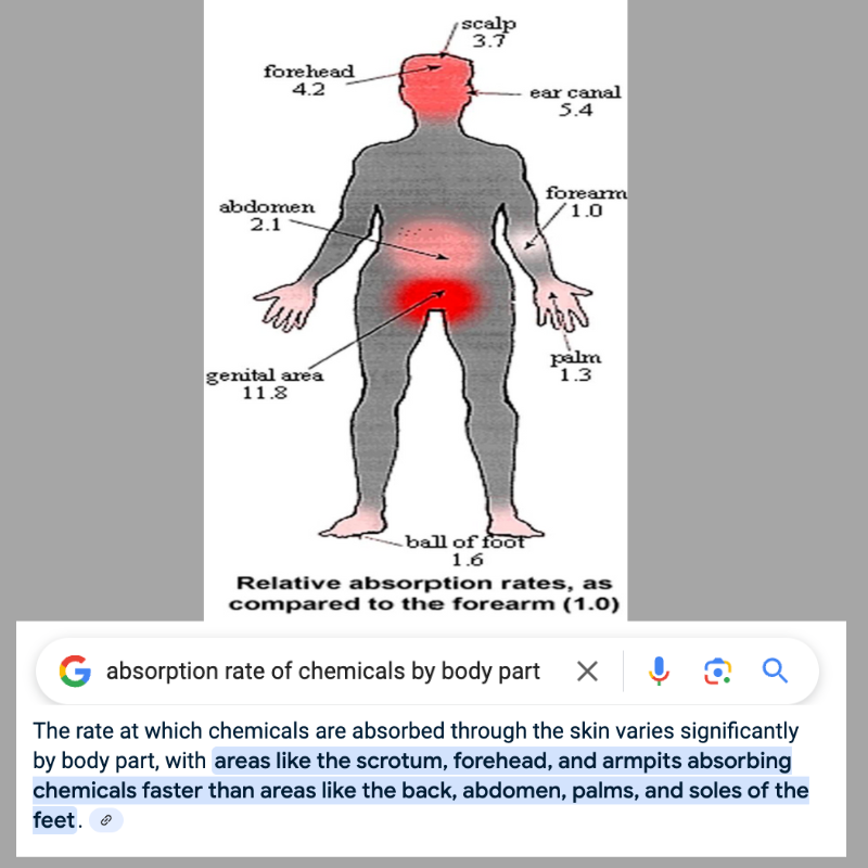 Diagram showing chemical absorption rates by body part, with labeled percentages.