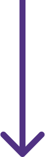 A simple purple downward arrow on a white background.