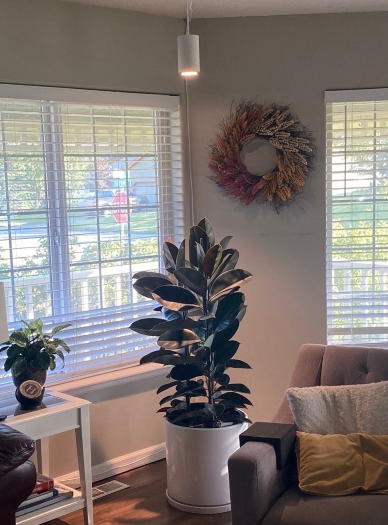 Living room with plants, a wreath, and a window with blinds.