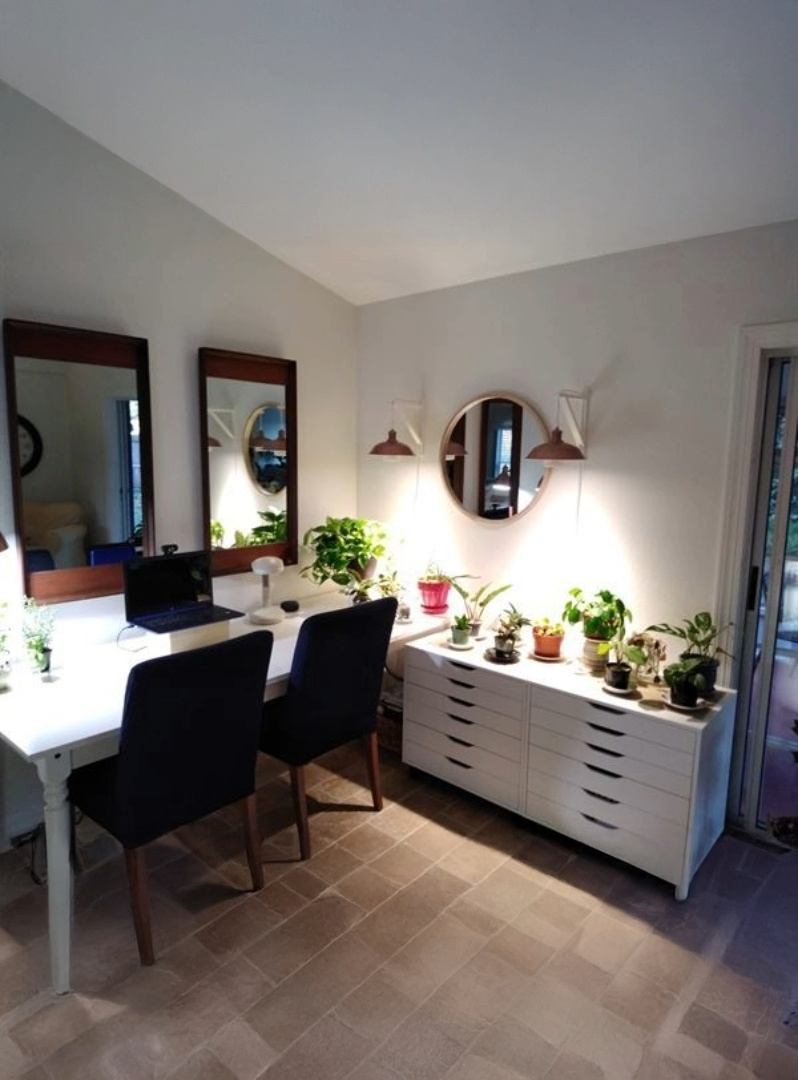 Home office with desk, chairs, mirrors, and potted plants.